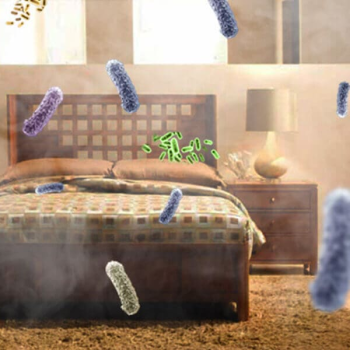 6+ vị trí chứa nhiều vi khuẩn trong nhà cần vệ sinh GẤP