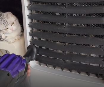 REVIEW JETZT X10 PRO | ANH MÈO TÊN SÂU